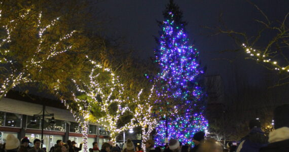 Photo by Bailey Jo Josie/Sound Publishing.
A large crowd gathered in Piazza Park at 5 p.m. for the Tree Lighting.