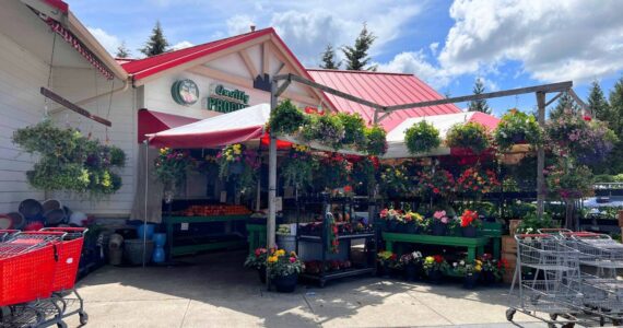 Top of the Hill Quality Produce & Meats (Cameron Sheppard)
