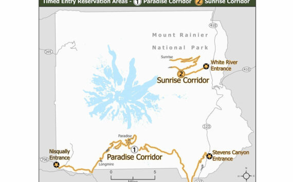 Separate timed entry reservations are required for the Paradise Corridor on the south side of the park and the Sunrise Corridor in the northeast corner of the park off of SR410. Graphic courtesy National Park Service