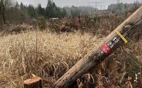 A scene of the recent vandalism to electrical infrastructure near Renton. Photo courtesy of King County Sheriff’s Office