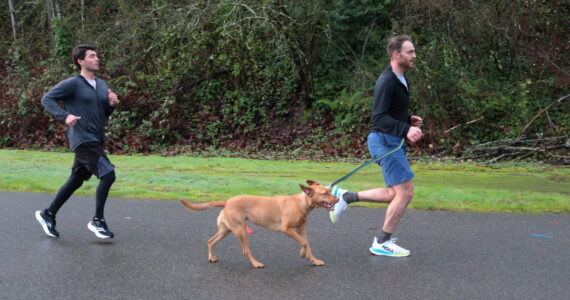 Bringing a dog to ParkRun. Photo by Bailey Jo Josie/Sound Publishing.