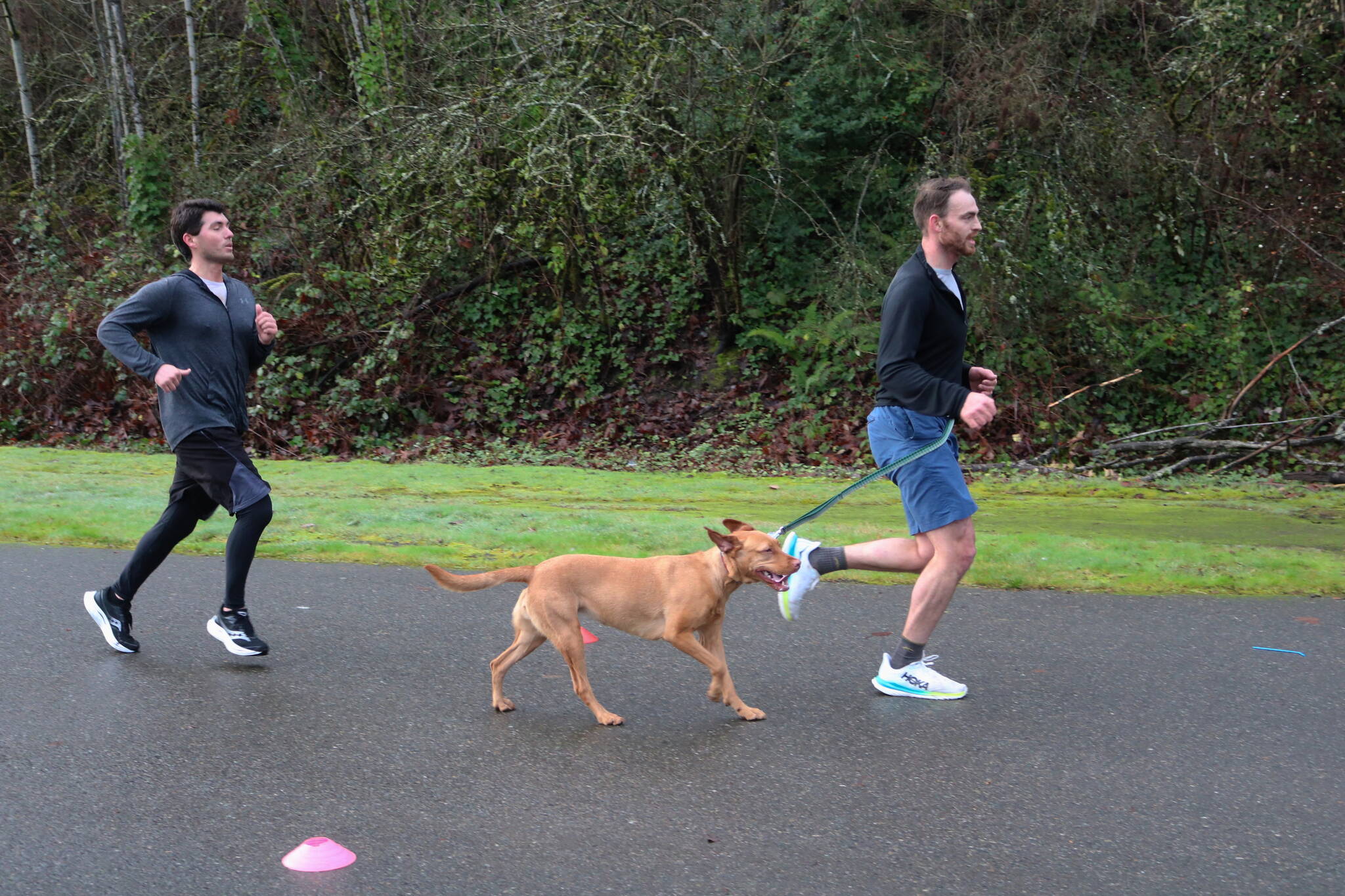 Bringing a dog to ParkRun. Photo by Bailey Jo Josie/Sound Publishing.