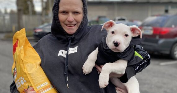 The monthly veterinary clinic at the Renton Library provides services and pet food for local pets in need. Photo courtesy of Washington Health Outreach
