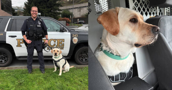 Renton Police Department officer Jeff Myers and therapy K9 Wally. Courtesy photo.