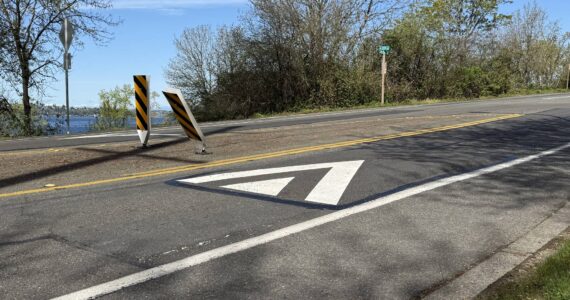 The speed cushions can be straddled by emergency vehicles to not reduce response times. Photo by Drew Dotson/ Renton Reporter