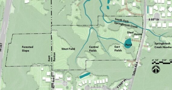 The site of the Cleveland-Richardson Park has a variety of landscape from forests and fields to wetlands and streams. Photo provided by the city of Renton