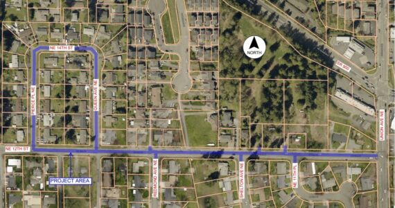 The map shows where the watermains will be replaced this summer. Photo provided by the city of Renton