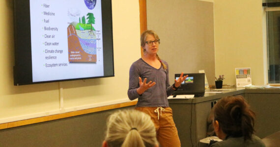 Elizabeth (Ea) Murphy presents at the first class of Renton’s 2025 gardening series. Photo by Bailey Jo Josie/Sound Publishing