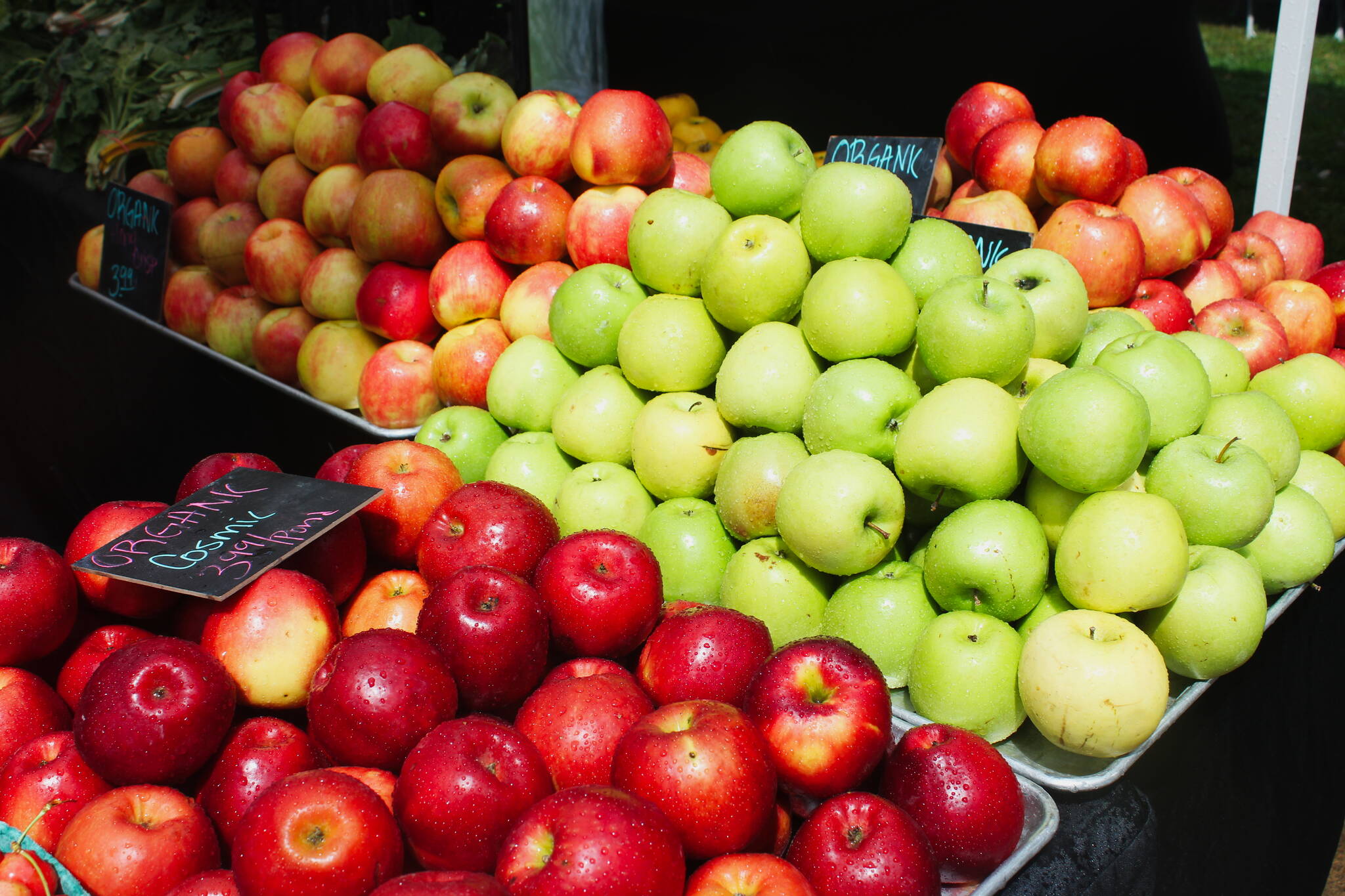Photo by Bailey Jo Josie/Sound Publishing. 
Fresh apples sold at the Renton Farmers Market, which returns with a new location on June 3.
