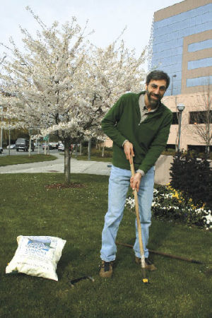 Spencer Orman demonstrates how to remove a dandelion on the yard outside Renton City Hall. A solid waste specialist for the City of Renton